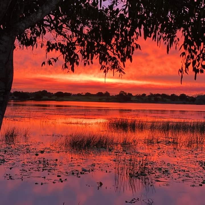 Prefeita Carine de Ataíde investirá mais de 200 mil reais na lagoa de Aporá
