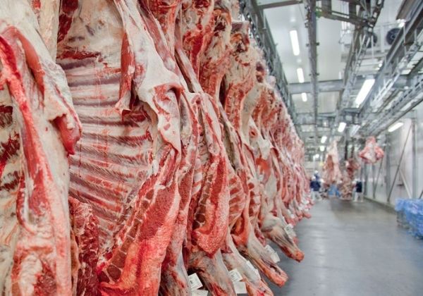 Pela primeira vez após 16 meses de alta, preço da carne apresenta leve queda