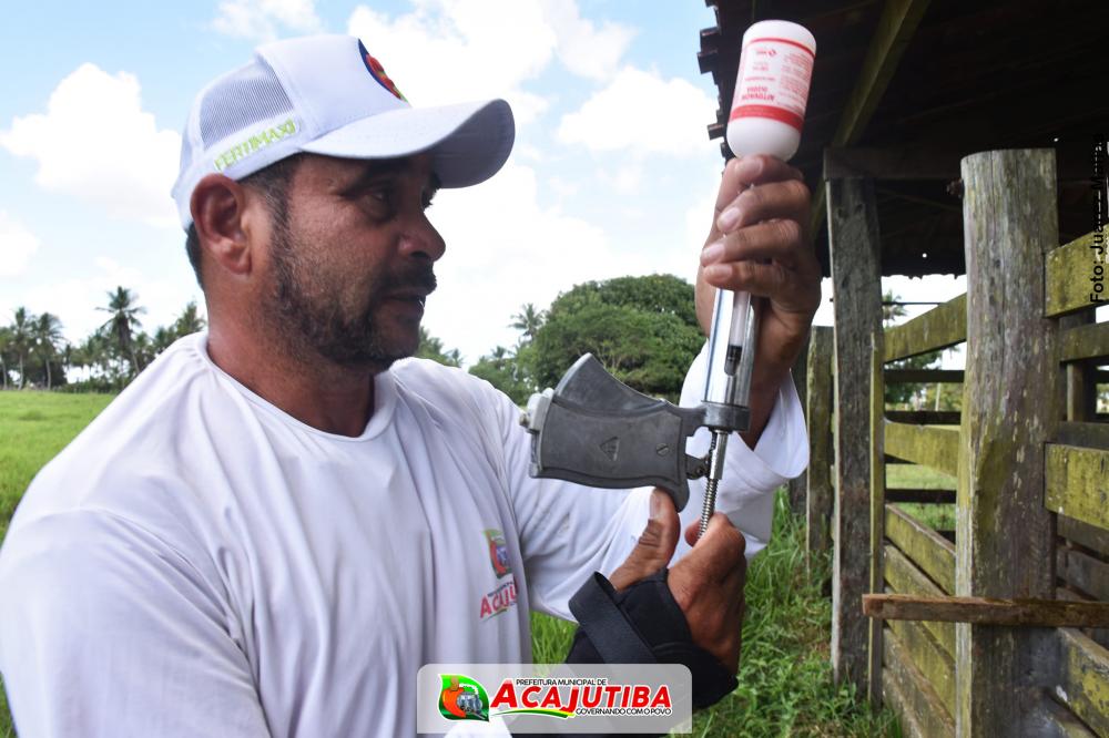 Prefeitura de Acajutiba realiza segunda e última vacinação contra a Febre Aftosa em 2021