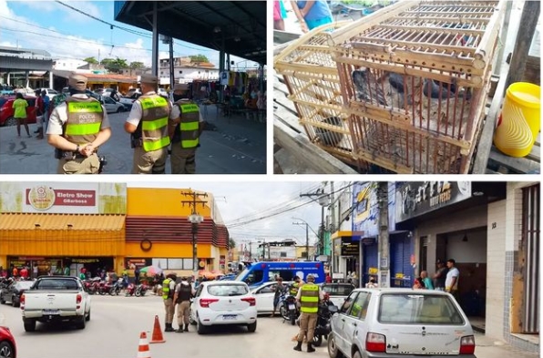 Alunos do Núcleo de Ensino do 4° BPM/Alagoinhas intensificam o Policiamento no centro de Alagoinhas e apreendem animais silvestres