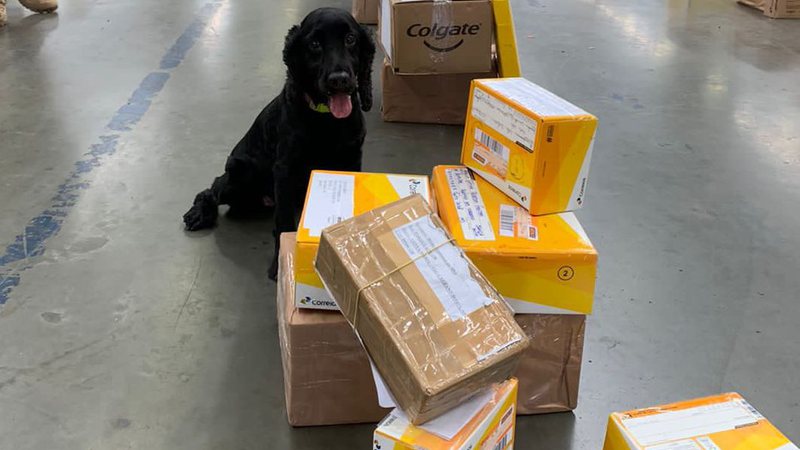 Encomendas com drogas são apreendidas nos Correios de Simões Filho