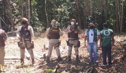 Polícia Militar de Conde apreende madeiras extraídas ilegalmente no Assentamento Nova Esperança