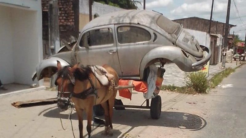 Carroceiro é preso após forçar égua a carregar carcaça de veículo de 300 kg
