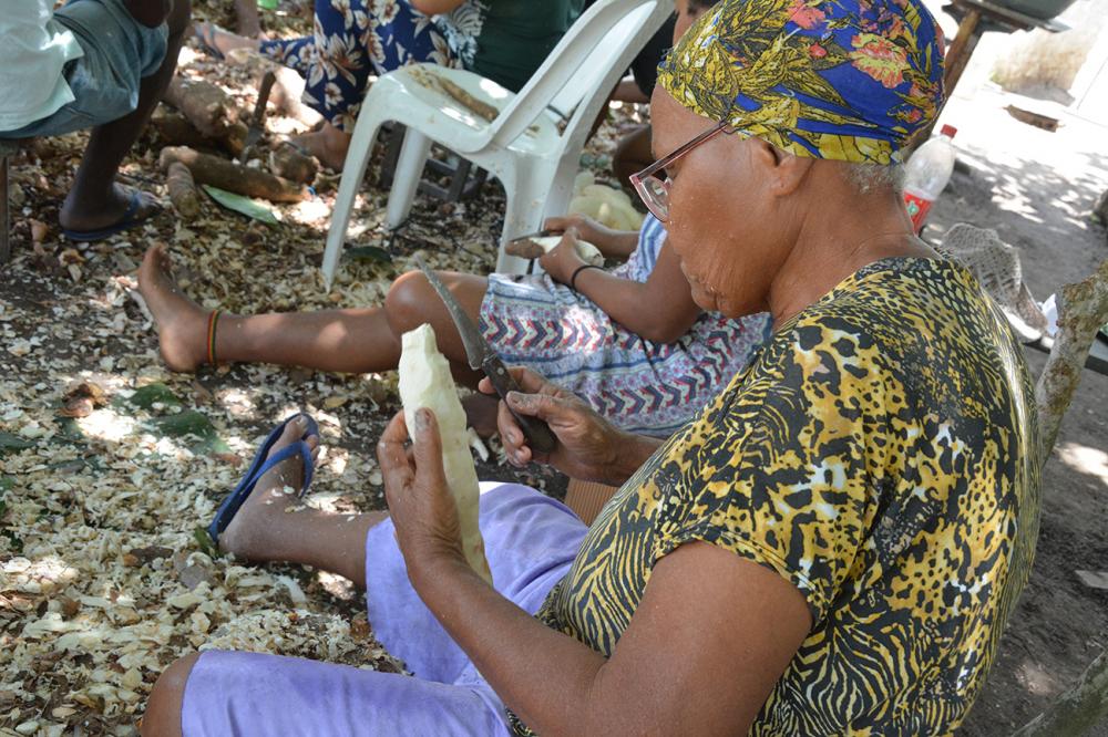 Prefeitura garante apoio do plantio da mandioca à produção da farinha em Feira de Santana