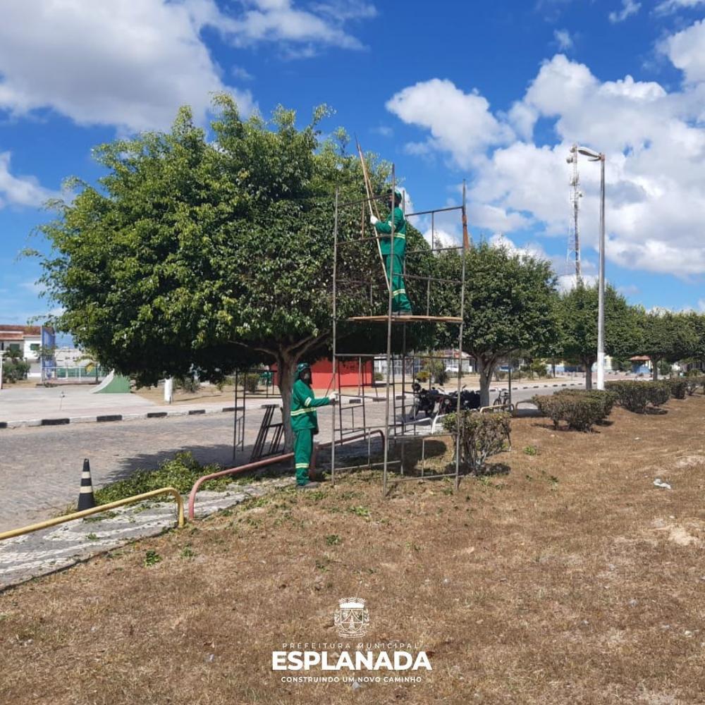 Empresa receberá mais 1 milhão em Meio em 12 meses para poda de árvores e mais de 8 milhões para limpeza pública em Esplanada