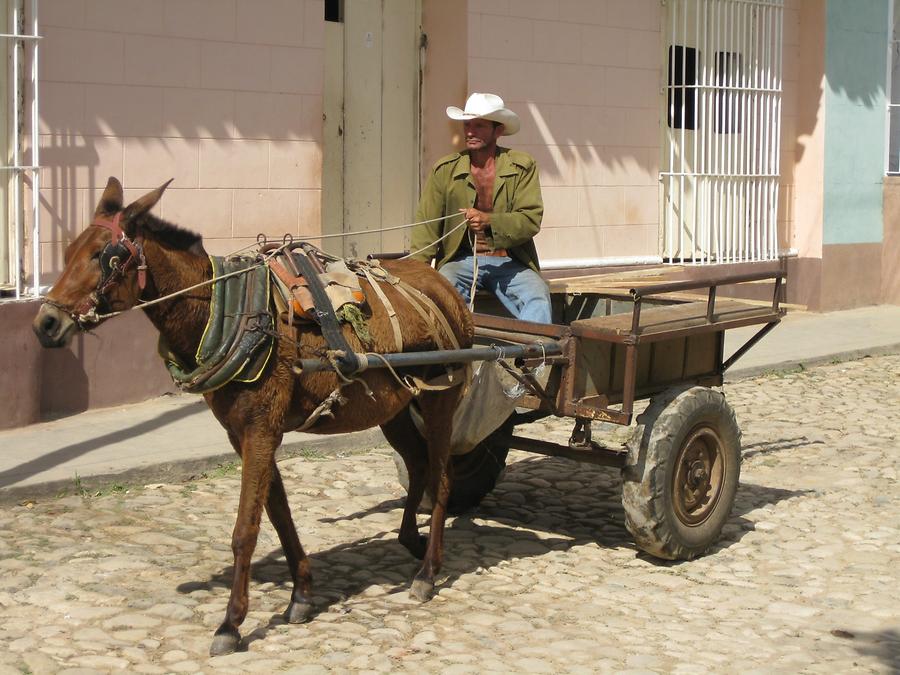 Exclusivo: Prefeitura de Alagoinhas contrata carroceiros para coleta de lixo e poderá gastar quase 1 milhão de reais