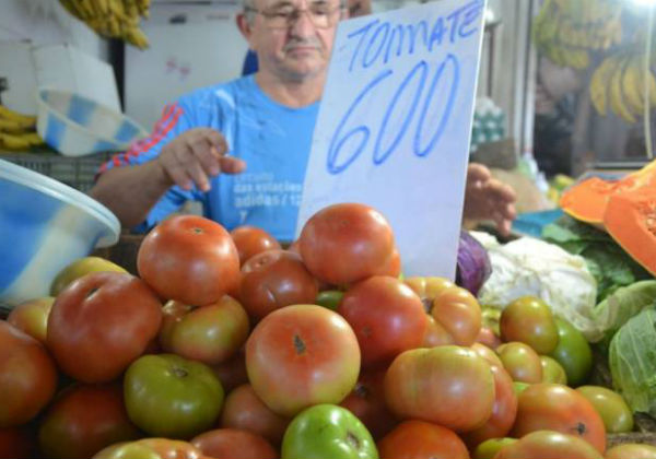 Conab: preços da batata e do tomate tendem a diminuir em março