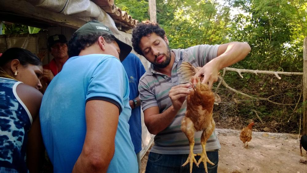 Cardinalenses que vivem da agricultura familiar receberão curso de avicultura gratuitamente