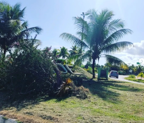 Suposto abandono em entrada de Conde é destacado por líder de oposição ''Estou indignado''