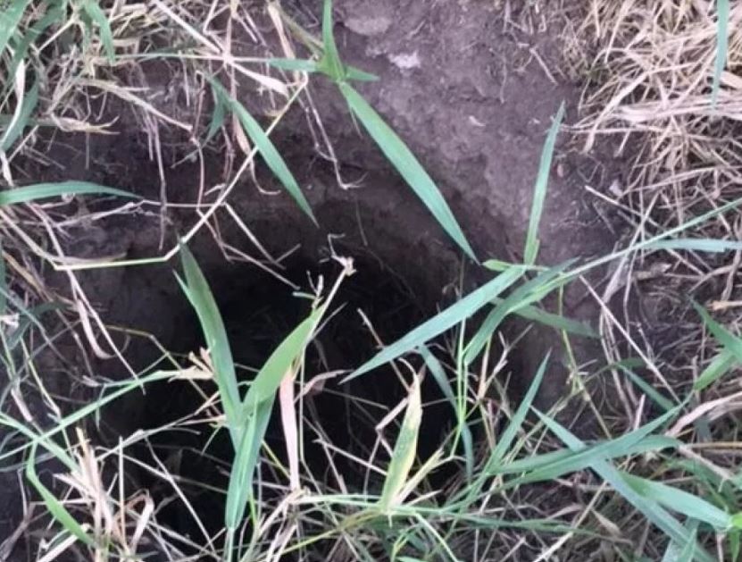 Bebê é encontrado vivo depois de passar dois dias dentro de buraco na Bahia