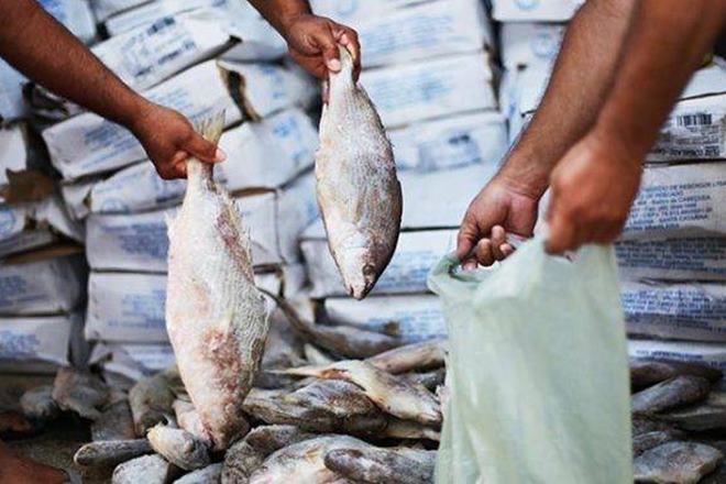Prefeito é punido por autopromoção na distribuição de pescado
