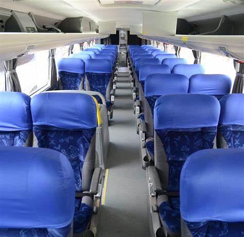 Homens tentam estuprar passageira de ônibus em Jandaíra, mas vítima é salva por crise asmática