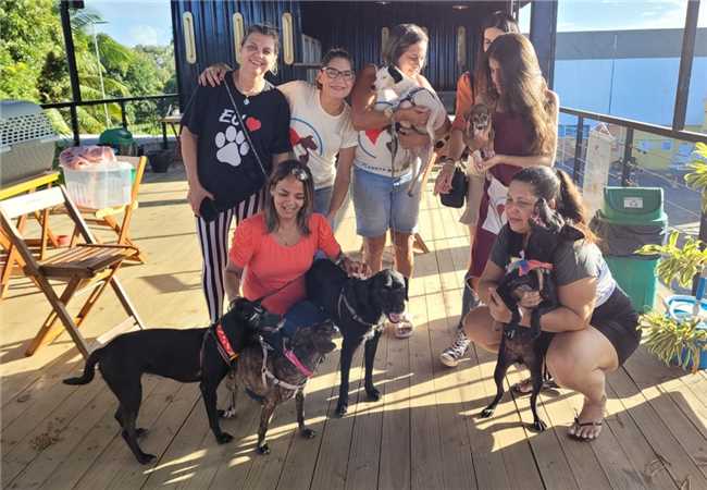 Ilhéus realiza feira de adoção de animais no espaço Villa 73; confira data e horário