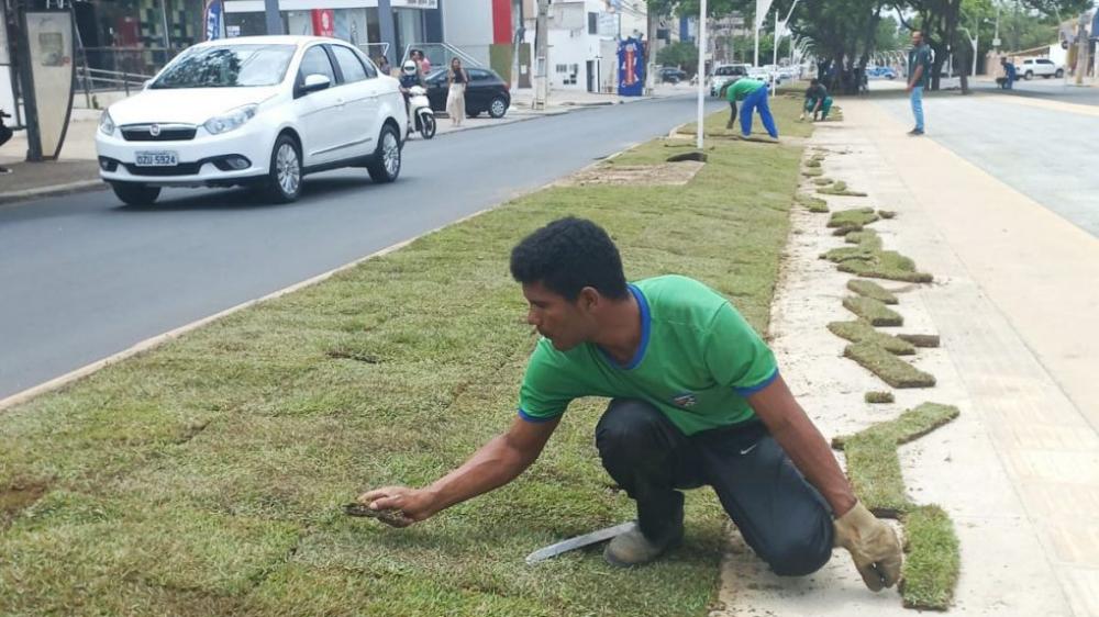Vitória da Conquista implanta paisagismo na Avenida Olívia Flores