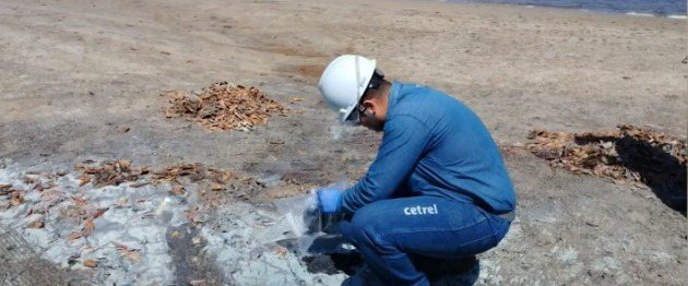 Mancha verde nas praias pode ter explicação cientifica, saiba mais