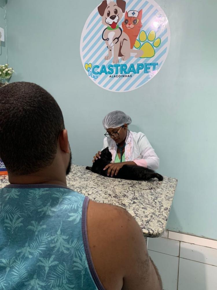 Amigo Pet: Prefeitura já realizou mais de 120 castrações de cães e gatos em Alagoinhas