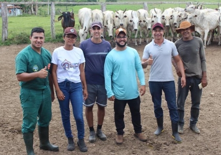 Inseminação artificial gratuita do rebanho de corte e leite é iniciada em Conde