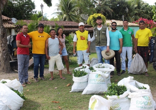 Município de Conde recebe 15 mil porta-enxertos para ajudar citricultores dos Assentamentos