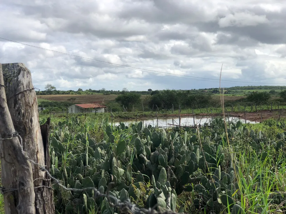 Produtores falam sobre impactos das chuvas no interior de Sergipe