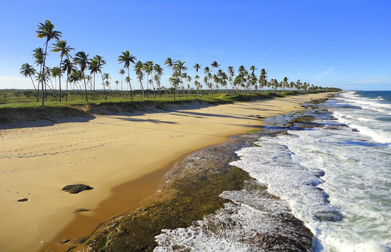 Massarandupió está entre as vinte praias do Mundo que mais atraem naturistas