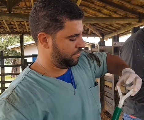Programa de melhoramento genético de animais de grande porte é iniciado em Crisópolis