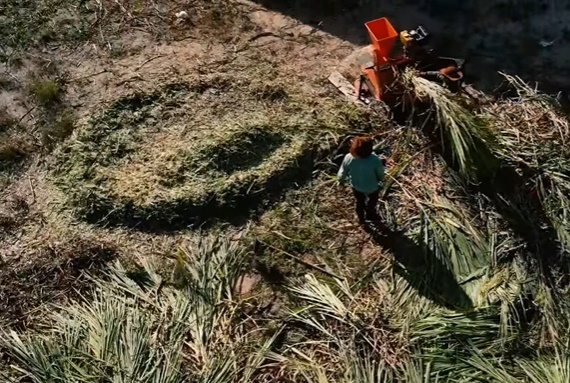 Prefeitura e Consórcio do Litoral Norte e Agreste Baiano disponibilizam uma máquina forrageira para os agricultores em Crisópolis