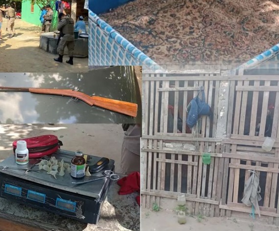 Guarnição da 6ª CIPM encerra atividade ilícita de rinha de galo por maus tratos contra os animais em Olindina