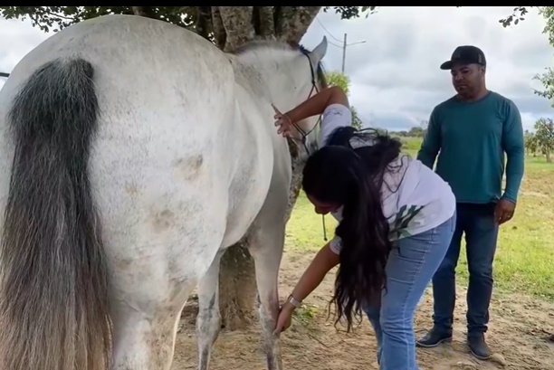 Governo Leandro Dantas realiza curso de casqueamento e ferrageamento de equídeos em Crisópolis