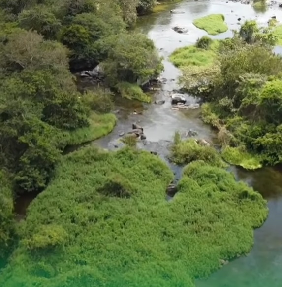 Vídeo: Pesca criminosa com produtos químicos no rio Itapicuru é combatida pela Prefeitura de Acajutiba; Assista