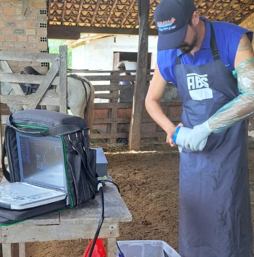 Secretaria de Agricultura avança com o desenvolvimento do Programa + Pecuária Brasil