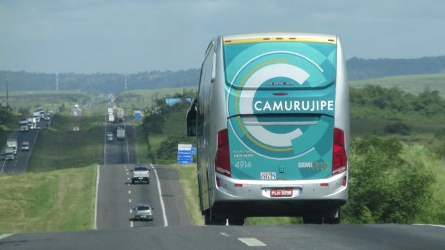 Transporte intermunicipal na Bahia será suspenso três dias antes e depois do São João
