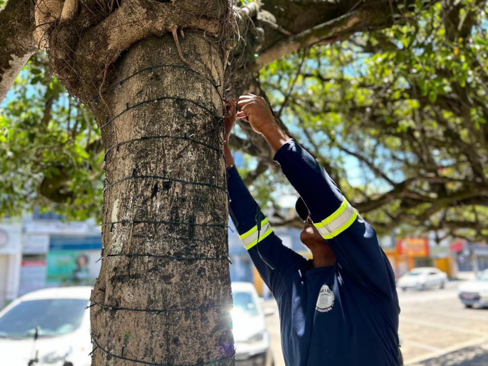 Prefeitura inicia iluminação de Natal em Alagoinhas