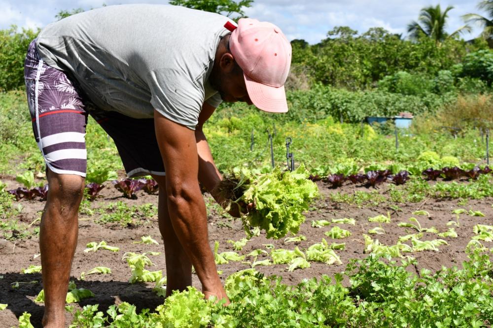 Agricultores familiares desenvolvem capacidades empreendedoras no projeto Empreender no Campo