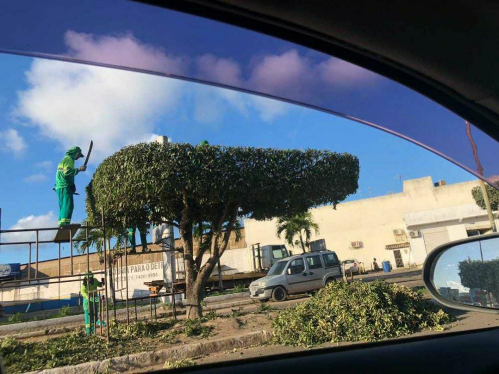 Vereador Caio Rezende tem solicitação atendida e empresa inicia poda de árvores na sede de Entre Rios