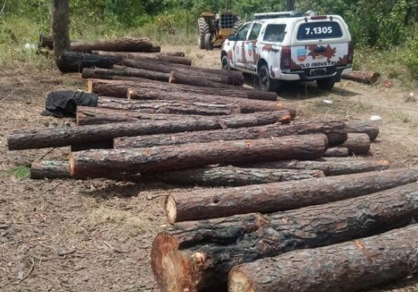 Estado da Bahia é o segundo que mais desmata em todo o país