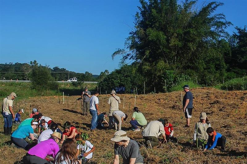 Litoral terá ação de plantio em homenagem às vítimas da covid-19