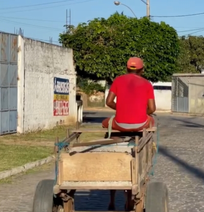 Prefeito de Cipó vai atrás de ladrão de Brita e registra tudo nas redes sociais; Vídeo de roubo de plantas também estão nas redes do gestor