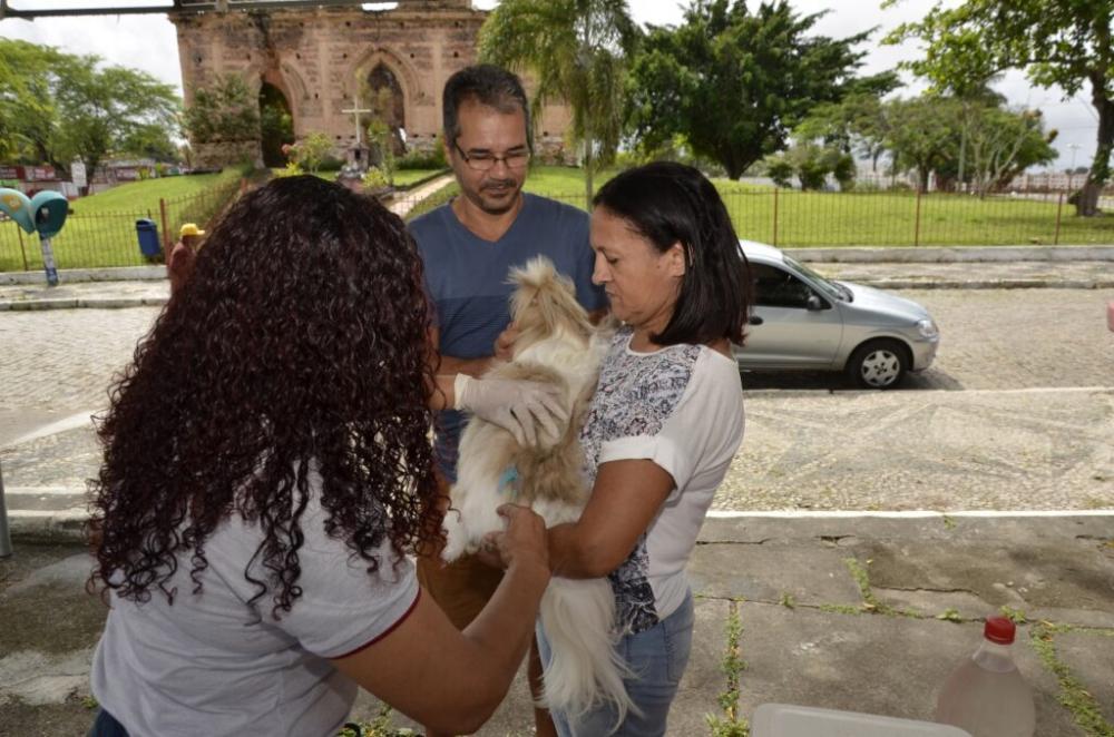Campanha de vacinação antirrábica em Alagoinhas continua até 28 de setembro